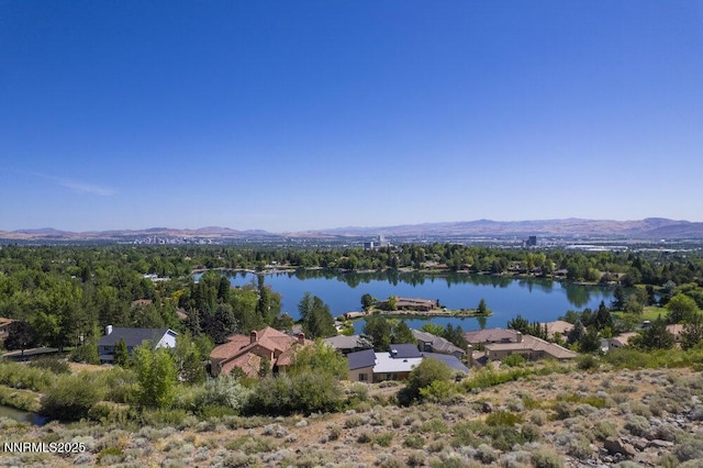2919 Mountain Springs Rd, Reno, NV 89519 - photo 5