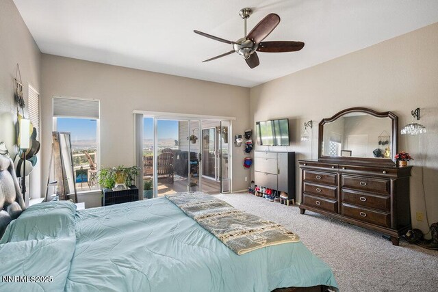 2919 Mountain Springs Rd, Reno, NV 89519 - photo 23