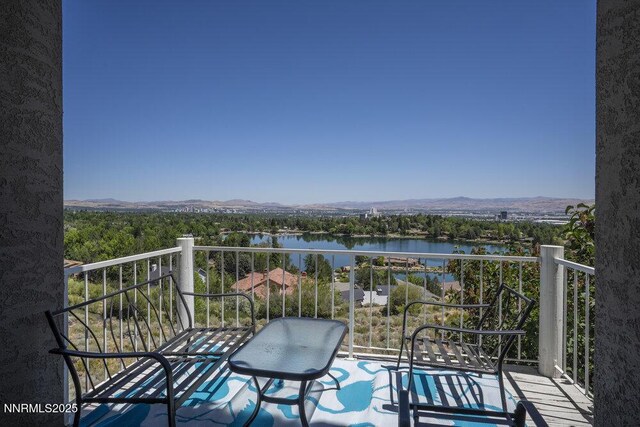 2919 Mountain Springs Rd, Reno, NV 89519 - photo 29