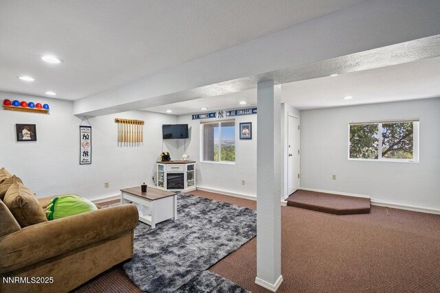 2919 Mountain Springs Rd, Reno, NV 89519 - photo 39