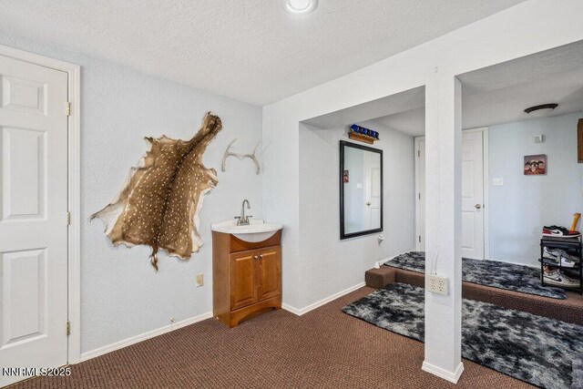 2919 Mountain Springs Rd, Reno, NV 89519 - photo 42