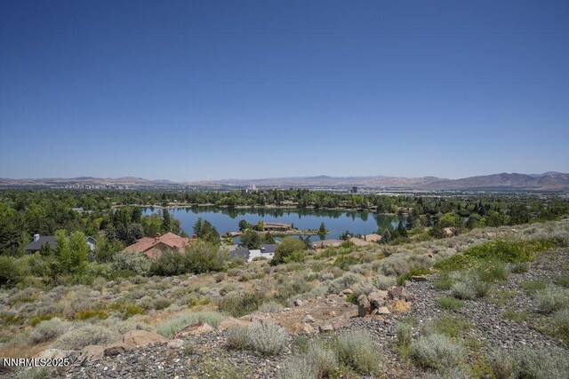 2919 Mountain Springs Rd, Reno, NV 89519 - photo 45