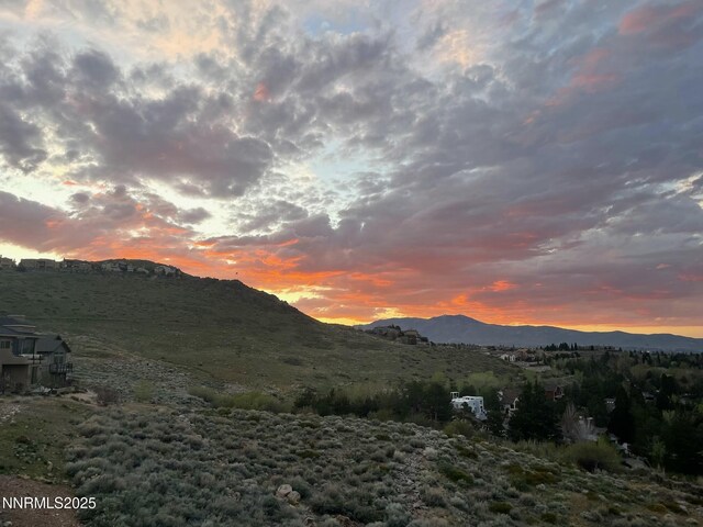 2919 Mountain Springs Rd, Reno, NV 89519 - photo 57