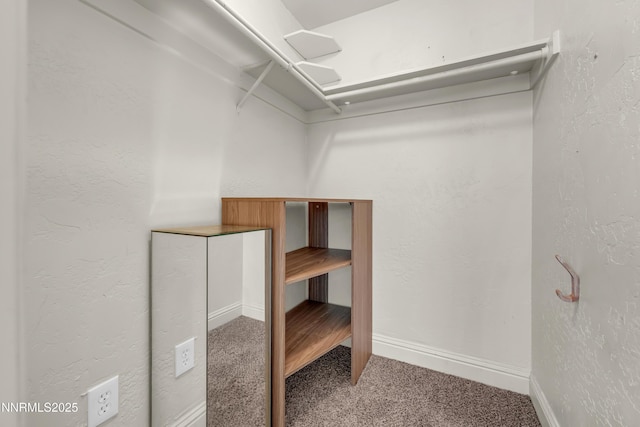 13250 Rolling Sage Pl, Reno, NV 89506 - spacious closet featuring carpet flooring
