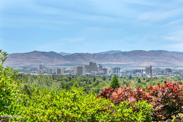 3398 Big Sky Dr, Reno, NV 89503 - photo 5