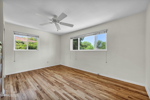 825 W 11th St, Reno, NV 89503 - unfurnished room with plenty of natural light, light wood-style flooring, and ceiling fan