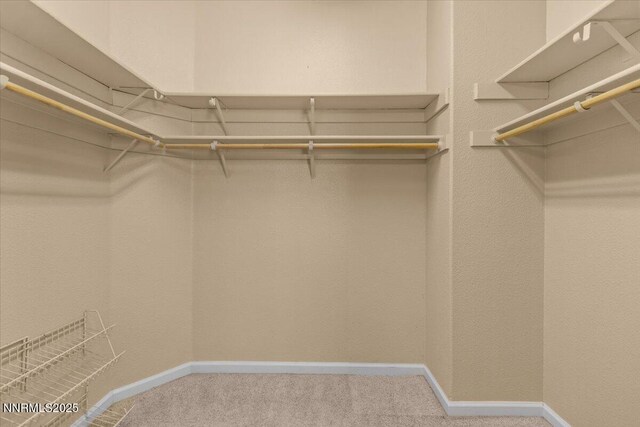 9732 Autumn Leaf Way, Reno, NV 89506 - spacious closet featuring carpet floors