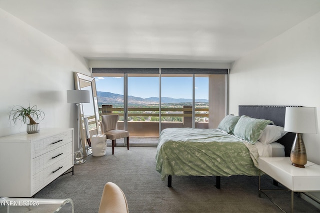 100 N Arlington Ave Unit 17G, Reno, NV 89501 - carpeted bedroom with a mountain view, access to exterior, and multiple windows
