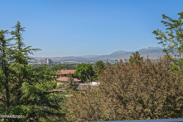 5525 Point View Way, Sparks, NV 89431 - photo 32