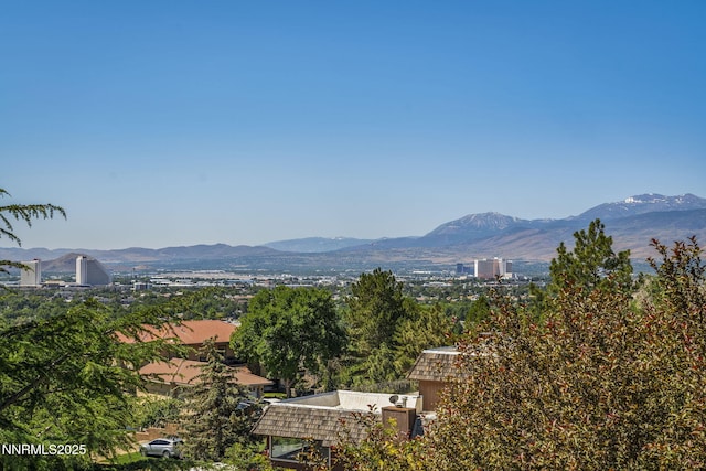 5525 Point View Way, Sparks, NV 89431 - photo 38