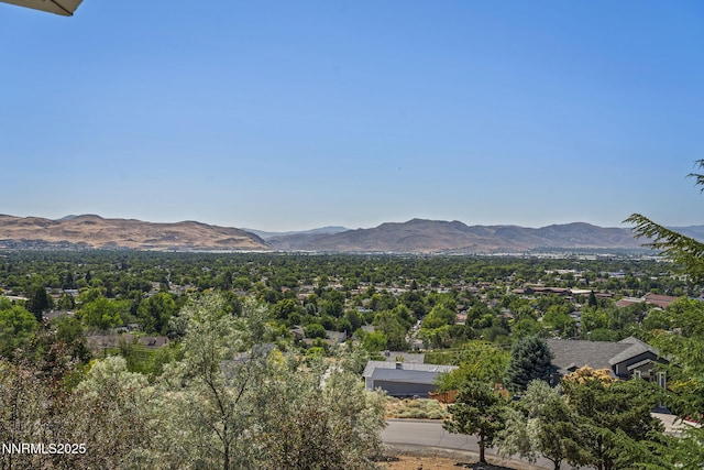 5525 Point View Way, Sparks, NV 89431 - photo 39