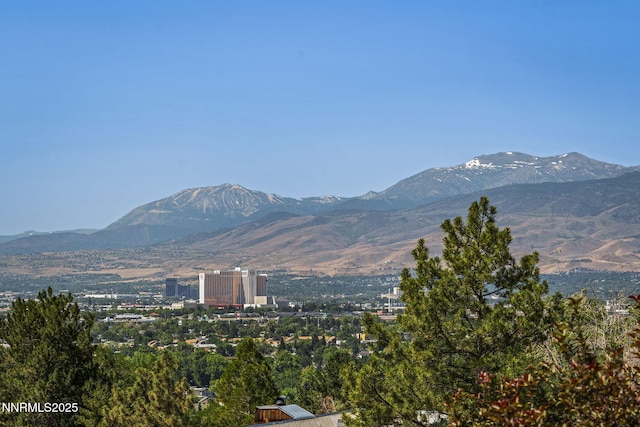 5525 Point View Way, Sparks, NV 89431 - photo 40