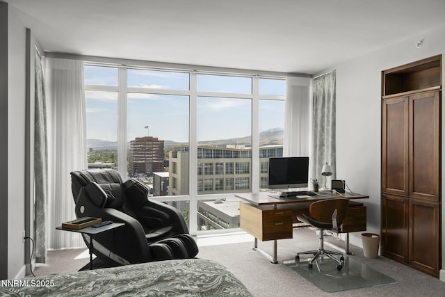 50 N Sierra St Ph 15, Reno, NV 89501 - photo 42