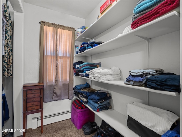 31850 Cantlon Dr, Wadsworth, NV 89442 - photo 71