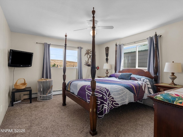 31850 Cantlon Dr, Wadsworth, NV 89442 - photo 59