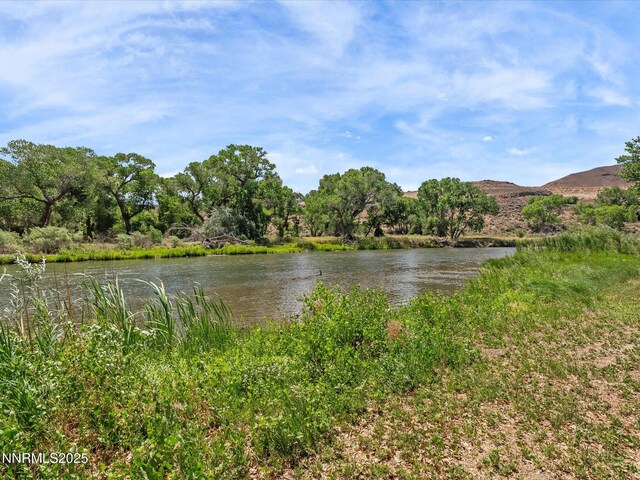 31850 Cantlon Dr, Wadsworth, NV 89442 - photo 92