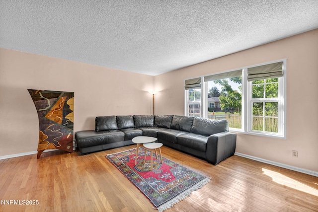 1725 Westfield Ave, Reno, NV 89509 - living room featuring hardwood / wood-style floors and a textured ceiling