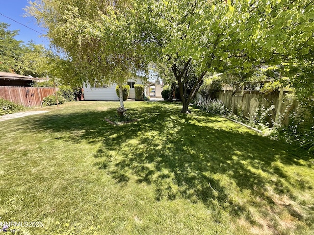 1685 Elmhurst Ave, Lovelock, NV 89419 - view of yard