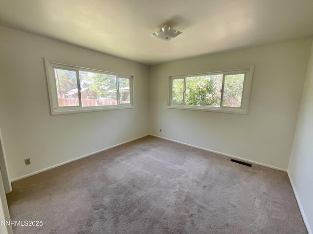 1685 Elmhurst Ave, Lovelock, NV 89419 - carpeted spare room featuring baseboards
