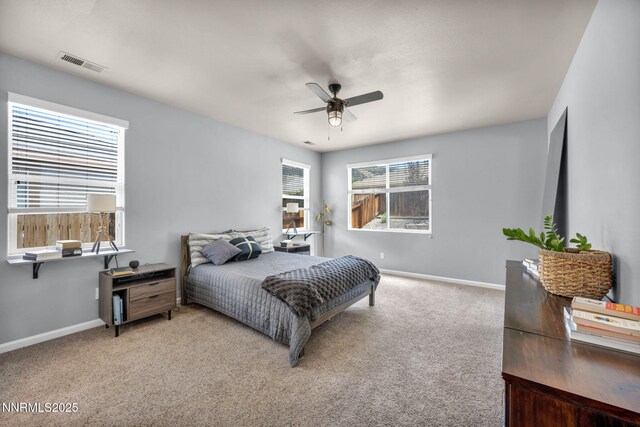 10810 Rushing Flume Dr, Reno, NV 89521 - photo 35
