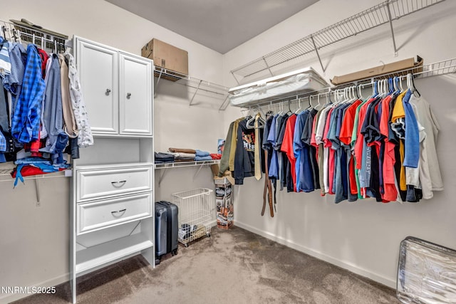 10810 Rushing Flume Dr, Reno, NV 89521 - photo 43