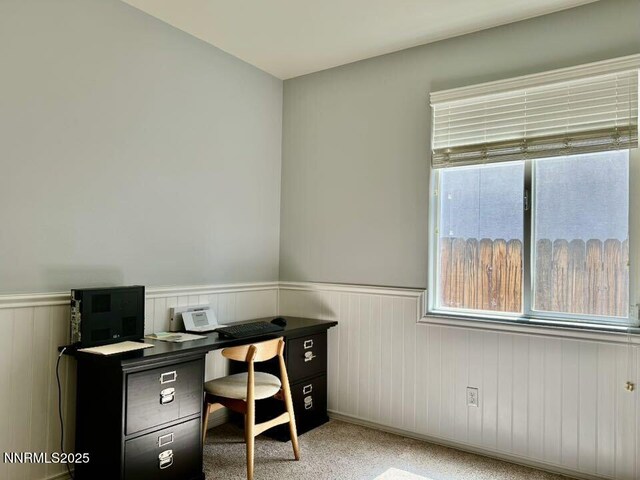 10810 Rushing Flume Dr, Reno, NV 89521 - photo 51