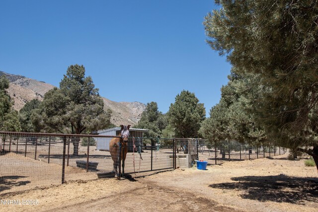 465 Upper Colony Rd, Wellington, NV 89444 - photo 23