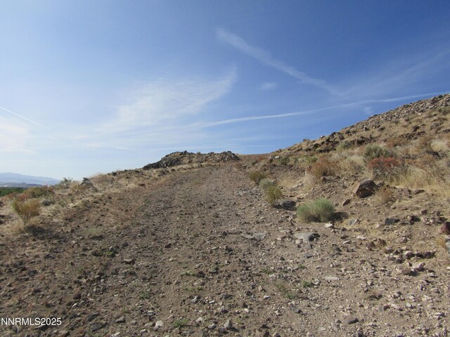 TBD Highway 339, Yerington, NV 89447 - photo 20