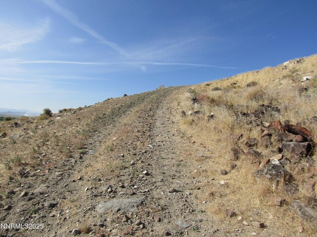 TBD Highway 339, Yerington, NV 89447 - photo 21