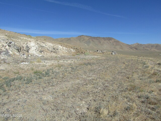 TBD Highway 339, Yerington, NV 89447 - photo 15