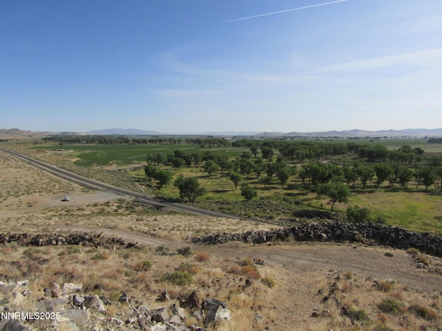 TBD Highway 339, Yerington, NV 89447 - photo 4