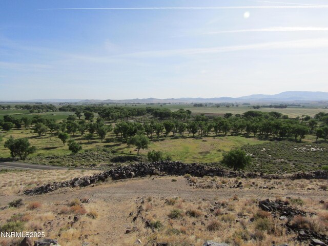 TBD Highway 339, Yerington, NV 89447 - photo 5