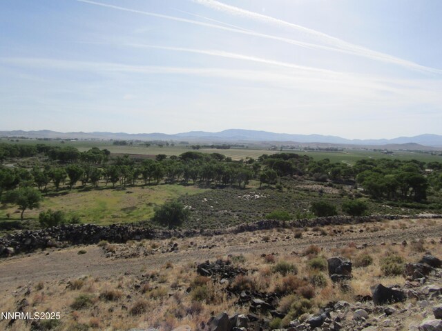 TBD Highway 339, Yerington, NV 89447 - photo 6