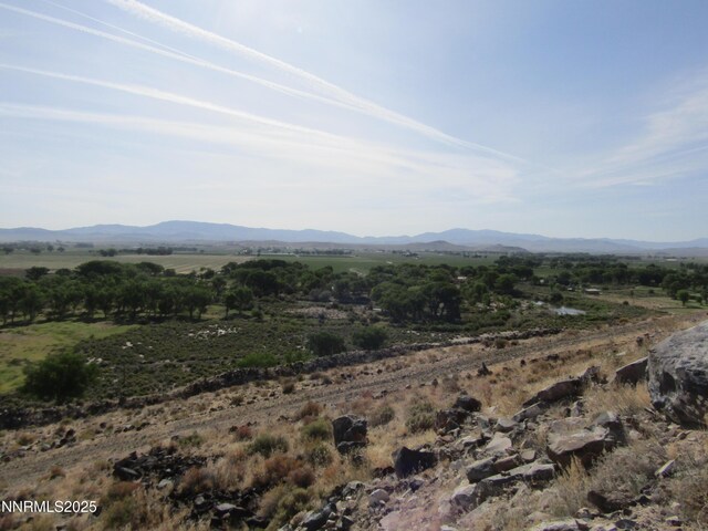 TBD Highway 339, Yerington, NV 89447 - photo 7