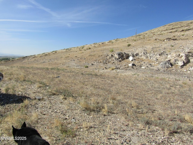 TBD Highway 339, Yerington, NV 89447 - photo 17