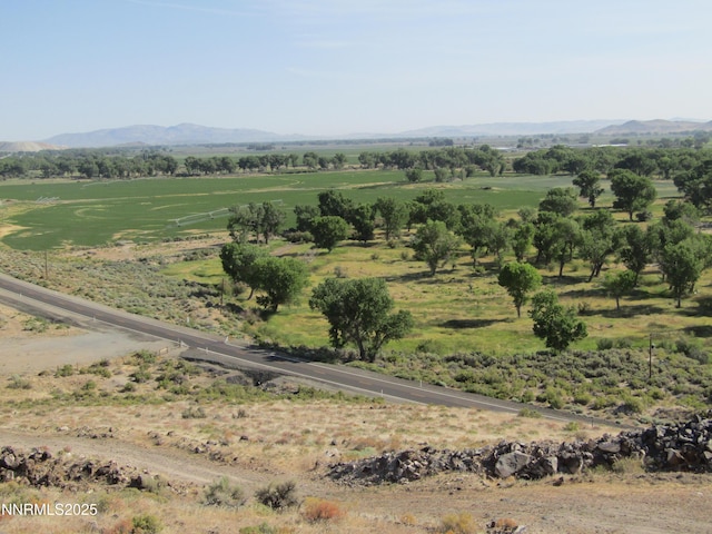 TBD Highway 339, Yerington, NV 89447 - photo 2