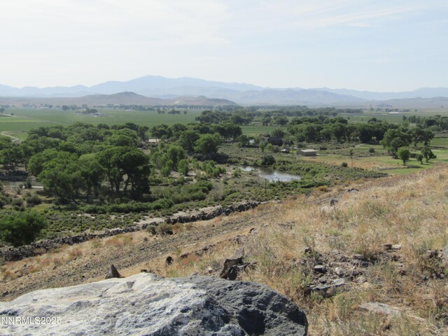 TBD Highway 339, Yerington, NV 89447 - photo 8