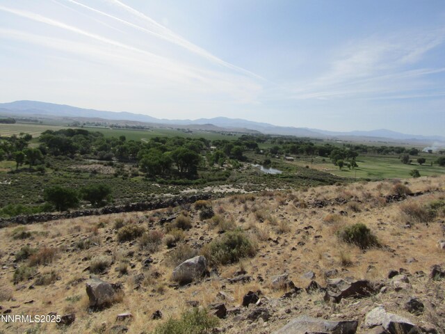 TBD Highway 339, Yerington, NV 89447 - photo 9