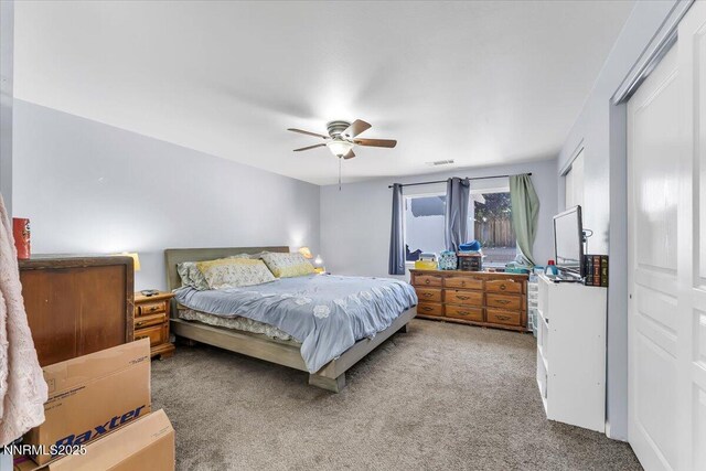 539 Rawe Peak Dr, Dayton, NV 89403 - photo 20