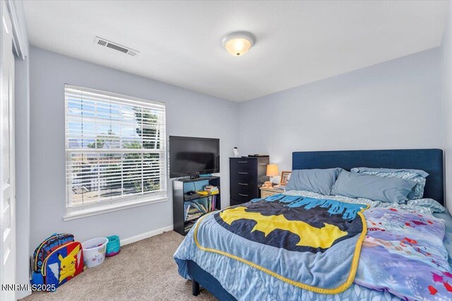 539 Rawe Peak Dr, Dayton, NV 89403 - photo 23