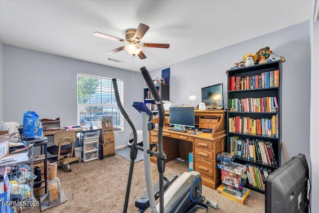 539 Rawe Peak Dr, Dayton, NV 89403 - photo 26