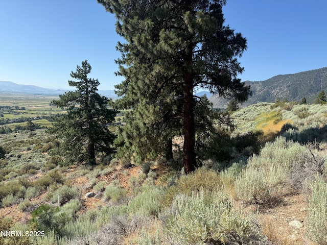 2592 Eagle Ridge Rd Unit 29, Genoa, NV 89411