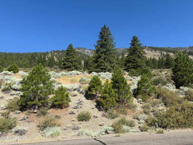 2592 Eagle Ridge Rd Unit 29, Genoa, NV 89411