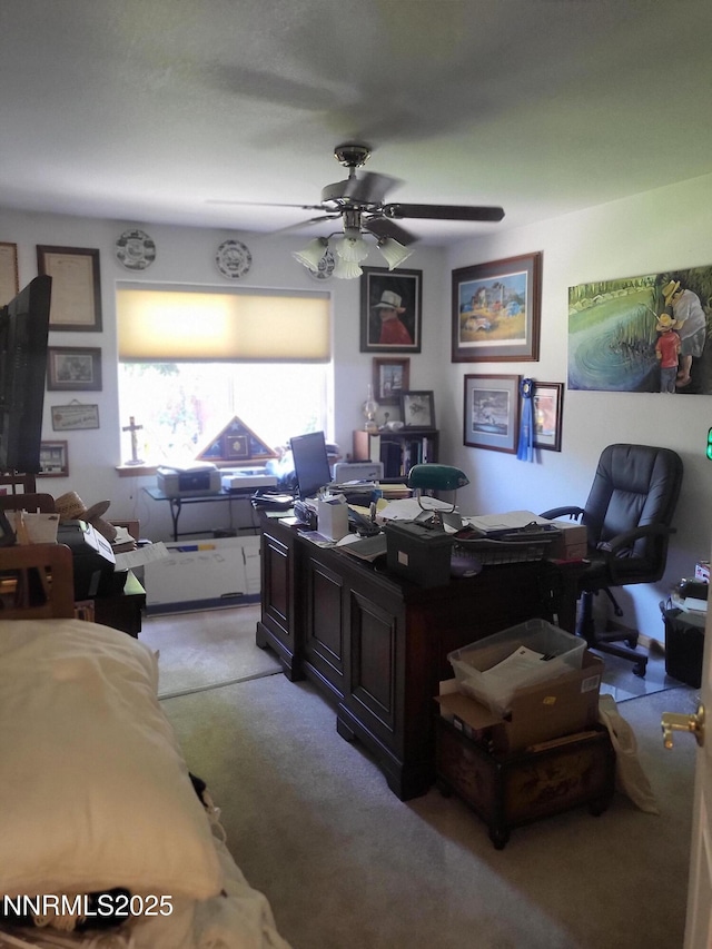 876 Mahogany Dr, Minden, NV 89423 - photo 12