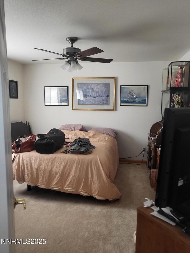 876 Mahogany Dr, Minden, NV 89423 - photo 13