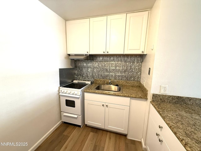 2450 Lymbery St Unit 228, Reno, NV 89509 - kitchen featuring electric range, under cabinet range hood, decorative backsplash, and wood finished floors