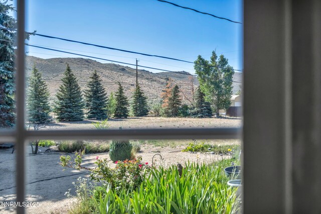 3830 Petrel Ct, Reno, NV 89508 - photo 17