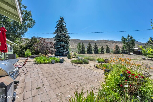 3830 Petrel Ct, Reno, NV 89508 - photo 38