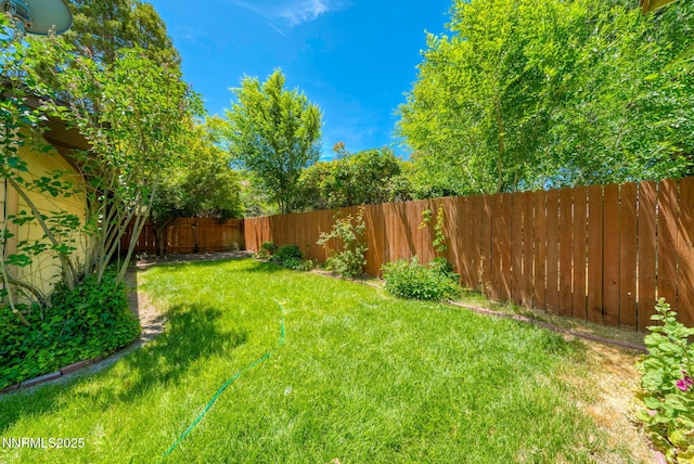 908 E Robinson St, Carson City, NV 89701 - view of fenced backyard