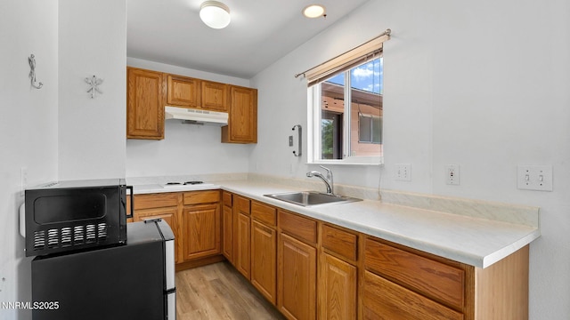 908 E Robinson St, Carson City, NV 89701 - kitchen featuring under cabinet range hood, black microwave, light wood-type flooring, and light countertops
